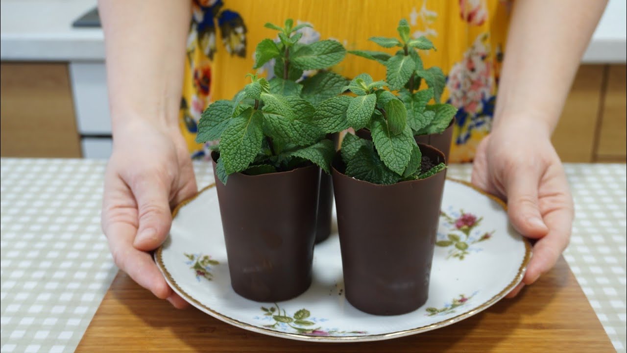 Nobody believes it can be eaten! A delicious edible pot with flowers!